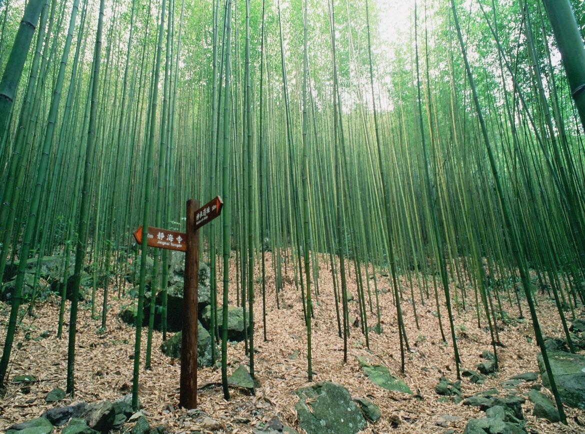 圖片1
