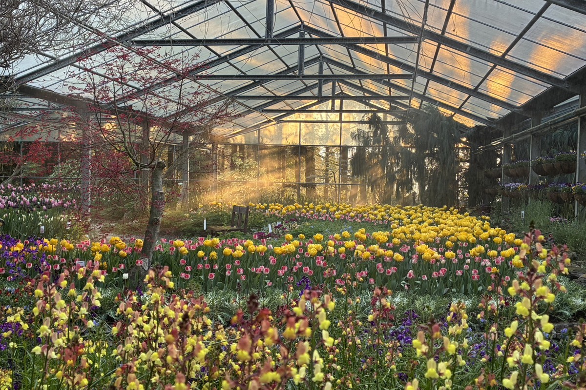 季節限定梅峰農場山野之約一泊三食2日