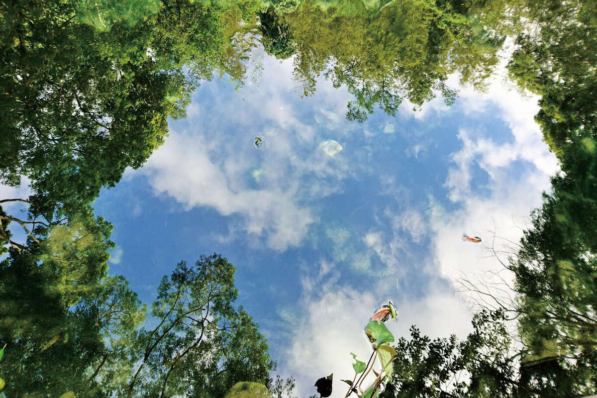 元氣馬武督探索森林綠光小學深度3日