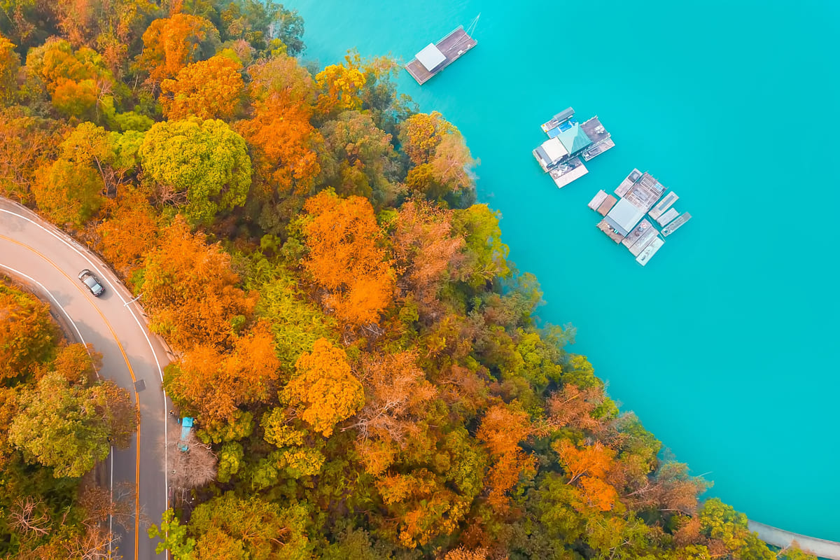 日月潭水岸落羽松採果一泊二食2日