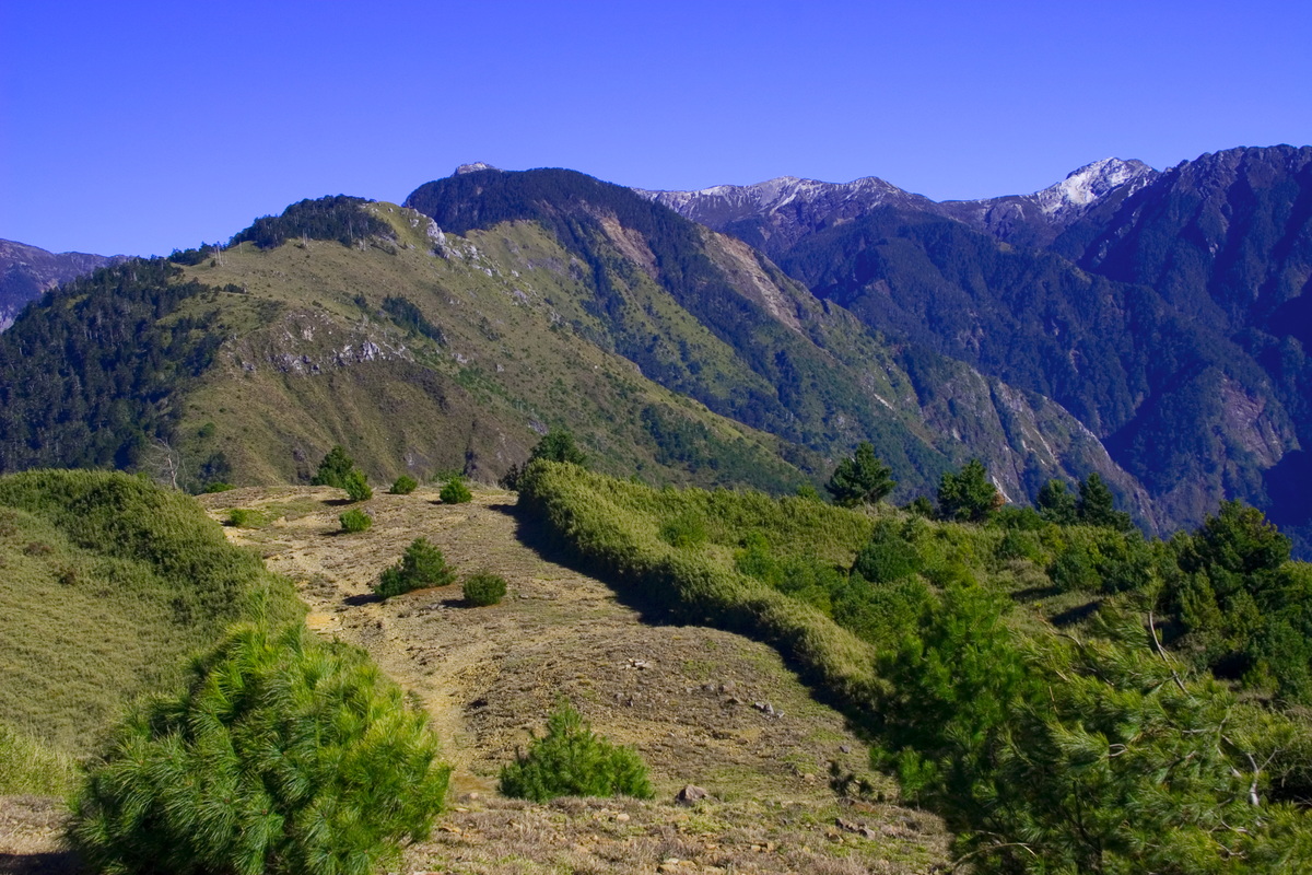 秘境風華｜楓芒萬丈新中橫麟趾山步道神仙帝綸2日