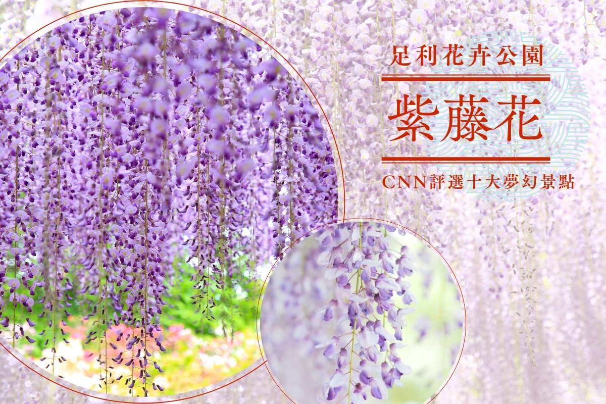 行程特色圖片