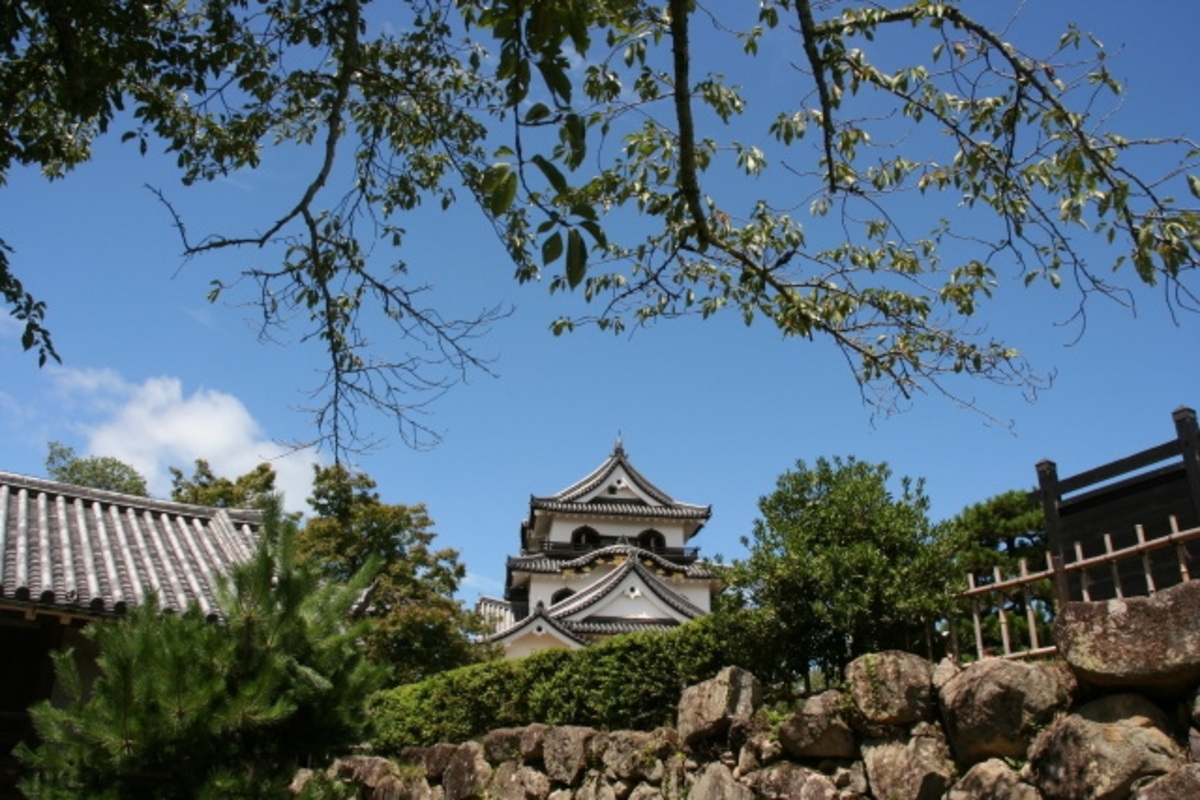 圖片1
