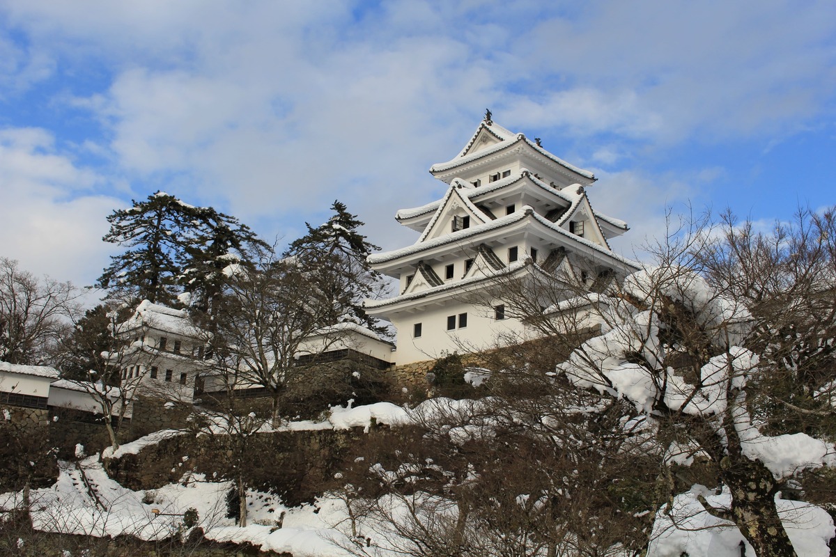 新穗高樹冰x夢幻點燈郡上八幡玩雪5日